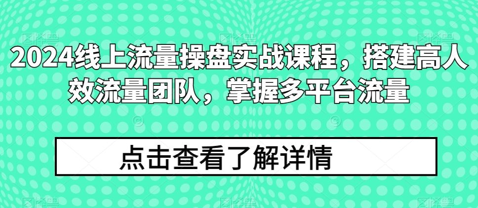 2024线上流量操盘实战课程，搭建高人效流量团队，掌握多平台流量-徐小晨博客