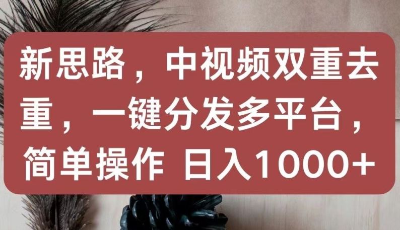 新思路，中视频双重去重，一键分发多平台，简单操作，日入1000+【揭秘】-徐小晨博客