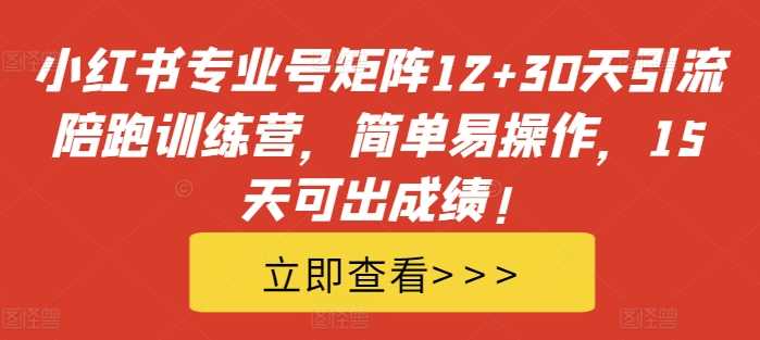 小红书专业号矩阵12+30天引流陪跑训练营，简单易操作，15天可出成绩!-徐小晨博客