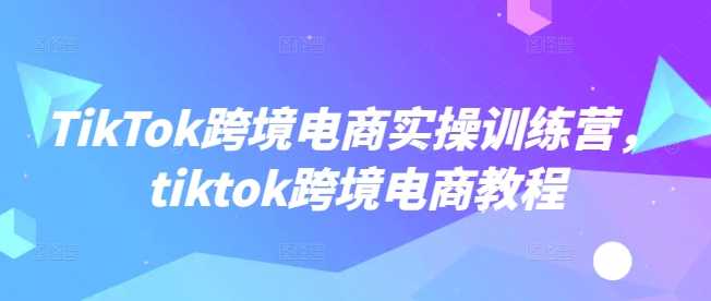 TikTok跨境电商实操训练营，tiktok跨境电商教程-徐小晨博客