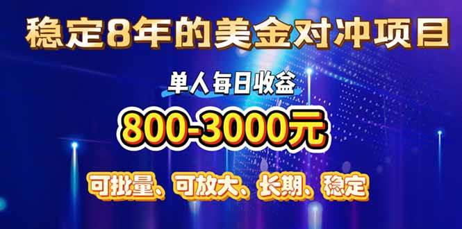 稳定8年的美金对冲创业项目，单人每日收益800-3000，小众暴力项目-徐小晨博客