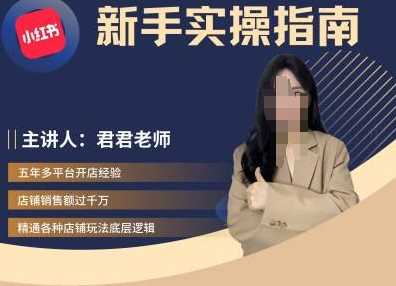 君君-小红书电商从入门到精通，新手实操指南-徐小晨博客