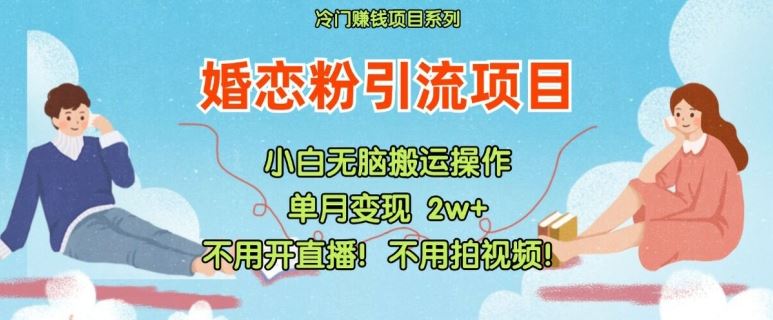 小红书婚恋粉引流，不用开直播，不用拍视频，不用做交付【揭秘】-徐小晨博客