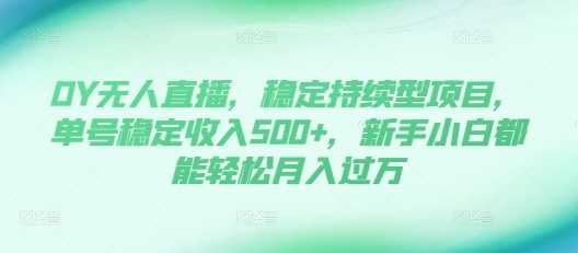 DY无人直播，稳定持续型项目，单号稳定收入500+，新手小白都能轻松月入过万【揭秘】-徐小晨博客