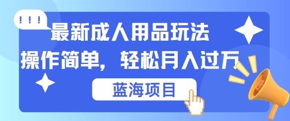 最新成人用品项目玩法，操作简单，动动手，轻松日入几张【揭秘】-徐小晨博客