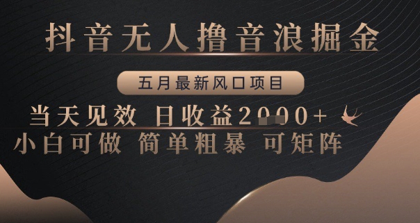 抖音无人撸音浪掘金，五月最新风口项目，当天见效，日收益多张，小白可做简单粗暴可矩阵【揭秘】-徐小晨博客