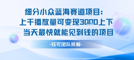 小众蓝海赛道项目：当天变现1k+适合新手操作 +适合长期玩-徐小晨博客