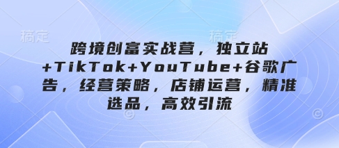 跨境创富实战营，独立站+TikTok+YouTube+谷歌广告，经营策略，店铺运营，精准选品，高效引流-徐小晨博客