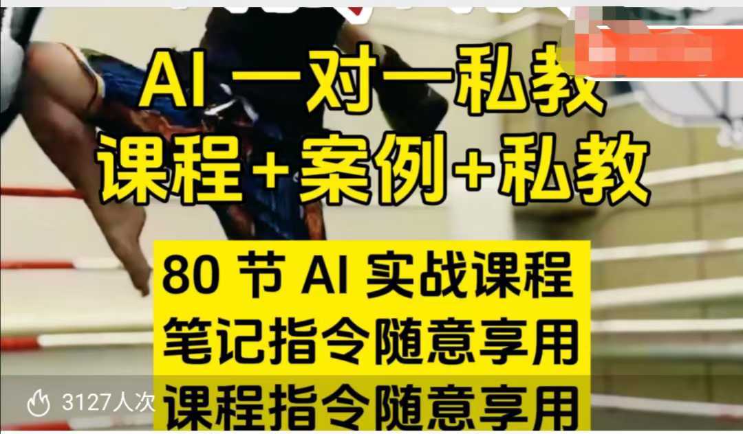 AI指令实战课，课程+案例，80节AI实战课程，笔记指令随意享用，课程指令随意享用-徐小晨博客