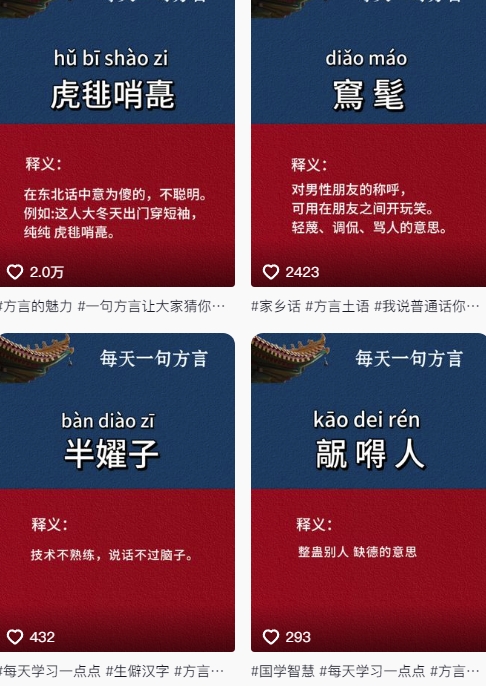 抖音最新涨粉玩法，图文方言暴力涨粉实操，126作品涨粉11W-徐小晨博客