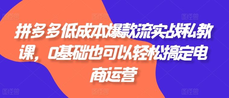 拼多多低成本爆款流实战私教课，0基础也可以轻松搞定电商运营-徐小晨博客