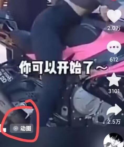 2024年7月苹果手机动图搬运技术-徐小晨博客