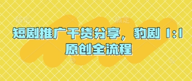 短剧推广干货分享，豹剧 1:1原创全流程-徐小晨博客