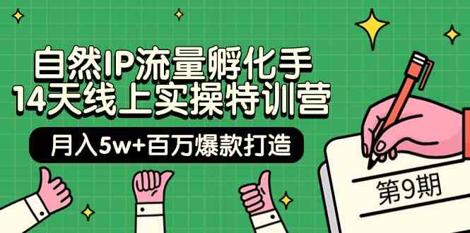 自然IP流量孵化手 14天线上实操特训营【第9期】月入5w+百万爆款打造 (74节-徐小晨博客