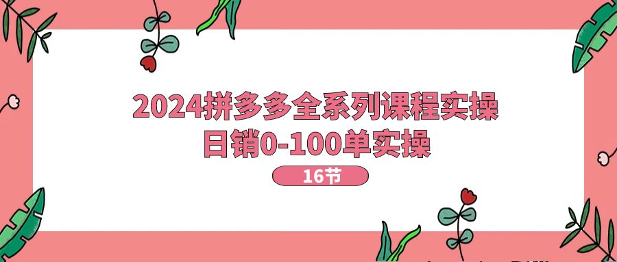 2024拼多多全系列课程实操，日销0-100单实操【16节课】-徐小晨博客
