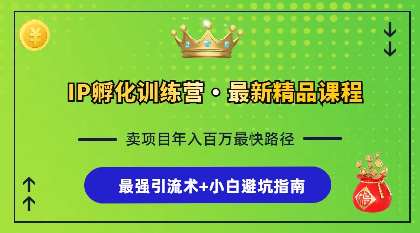 IP孵化训练营，知识付费全流程+最强引流术+小白避坑指南-徐小晨博客