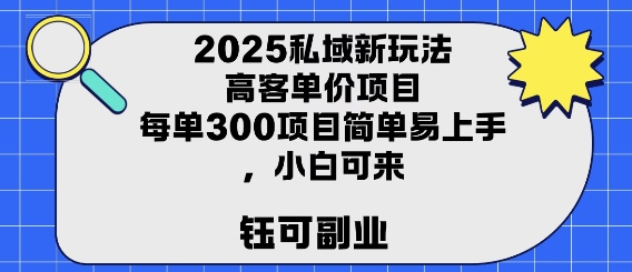 2025私域新玩法高客单价，每单3张操作简单，小白可轻松上手-徐小晨博客
