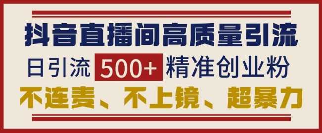 抖音直播间引流创业粉，无需连麦、不用上镜、超暴力，日引流500+高质量精准创业粉-徐小晨博客