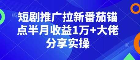 短剧推广拉新番茄锚点半月收益1万+大佬分享实操-徐小晨博客