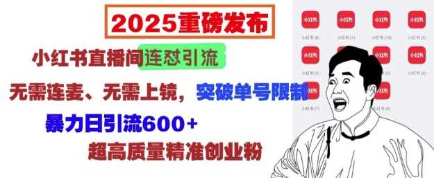 2025重磅发布：小红书直播间连怼引流，无需连麦、无需上镜，突破单号限制，暴力日引流600+-徐小晨博客