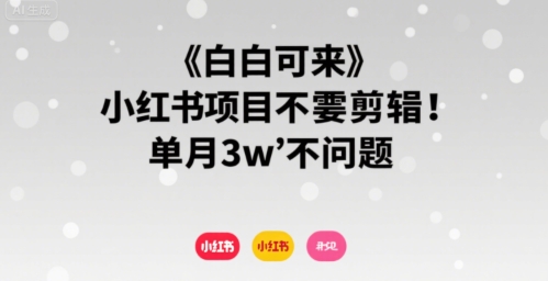 小白可来 小红书项目不需要剪辑 单月3w不是问题-徐小晨博客