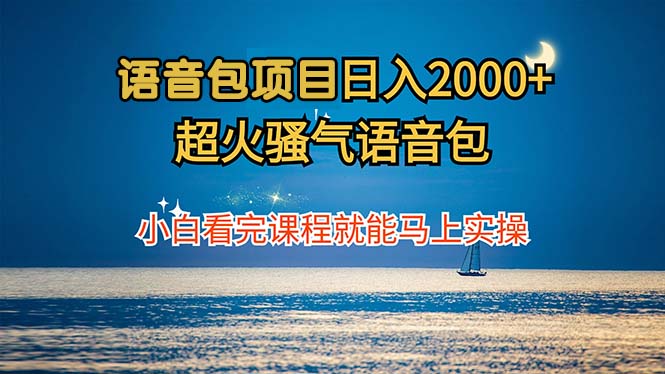 语音包项目 日入2000+ 超火骚气语音包小白看完课程就能马上实操-徐小晨博客