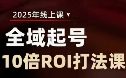 2025全域起号10倍ROI打法课，助你提升直播间的投资回报率-徐小晨博客