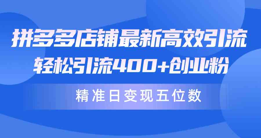 拼多多店铺最新高效引流术，轻松引流400+创业粉，精准日变现五位数！-徐小晨博客