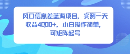 风口信息差蓝海项目，实测一天收益4k+，小白操作简单，可矩阵起号-徐小晨博客