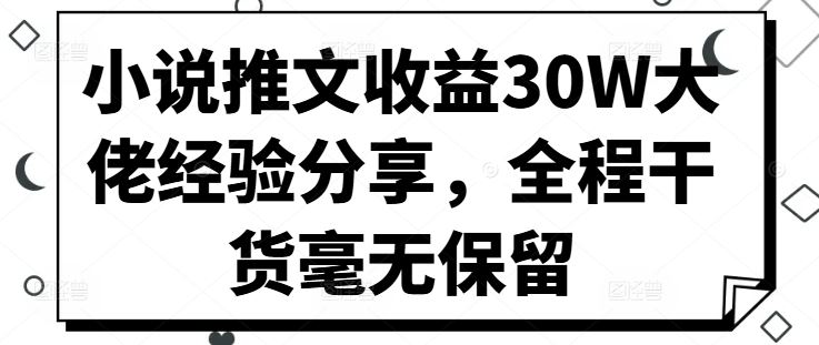 小说推文收益30W大佬经验分享，全程干货毫无保留-徐小晨博客