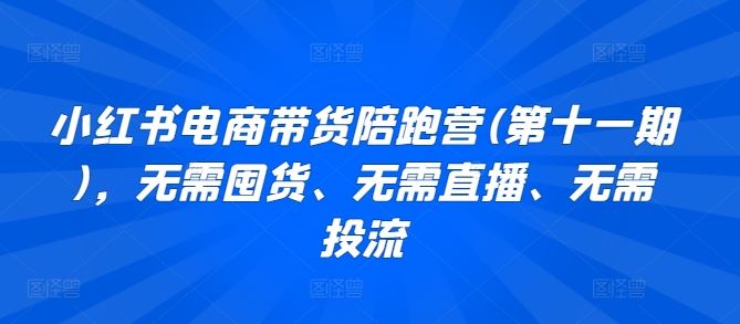 小红书电商带货陪跑营(第十一期)，无需囤货、无需直播、无需投流-徐小晨博客