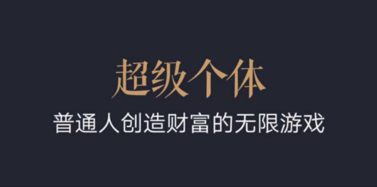 超级个体：2024-2025翻盘指南，普通人创造财富的无限游戏-徐小晨博客