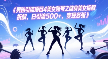 男粉引流项目4美女账号之健身美女拆解，日引流500+，变现多张-徐小晨博客
