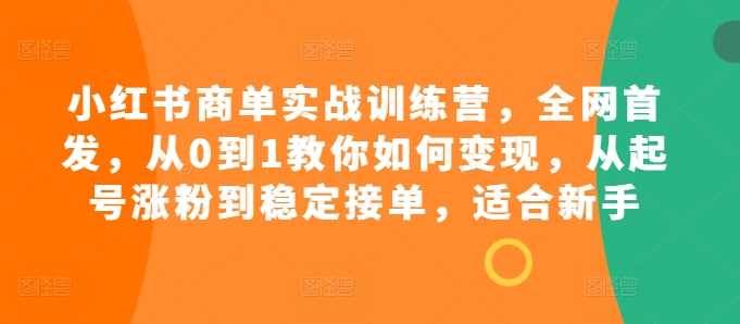 小红书商单实战训练营，全网首发，从0到1教你如何变现，从起号涨粉到稳定接单，适合新手-徐小晨博客