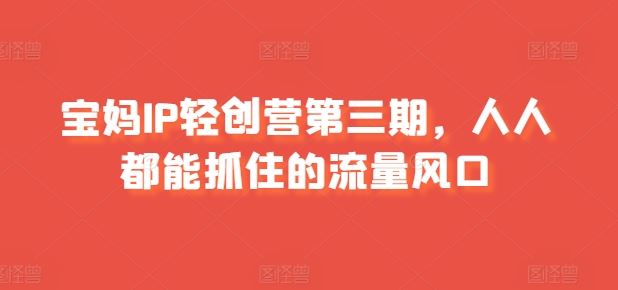 宝妈IP轻创营第三期，人人都能抓住的流量风口-徐小晨博客