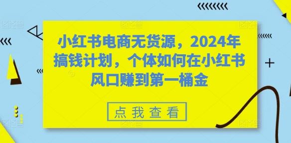 小红书电商无货源，2024年搞钱计划，个体如何在小红书风口赚到第一桶金-徐小晨博客