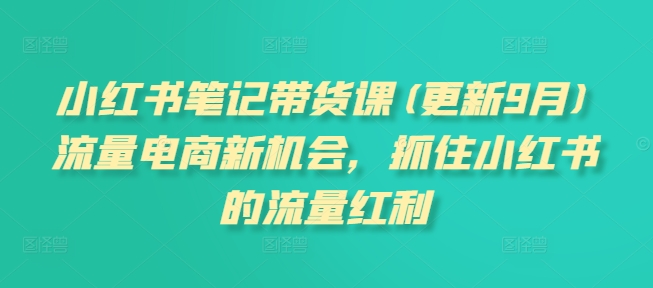 小红书笔记带货课(更新25年4月)流量电商新机会，抓住小红书的流量红利-徐小晨博客