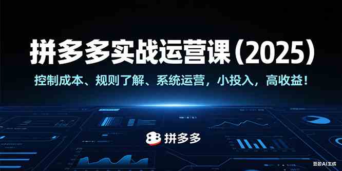 拼多多实战运营课（2025），控制成本、规则了解、系统运营，小投入，高收益！-徐小晨博客