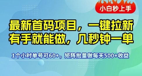 最新首码项目，一键拉新有手就能做，几秒钟一单，1个小时单号可60+，矩阵批量做每天5张【揭秘】-徐小晨博客