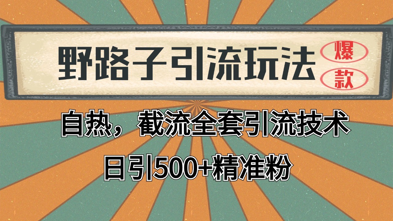 2024首发野路子引流玩法截流自热全平台打法，全自动引流【日引2000+精准客户】-徐小晨博客