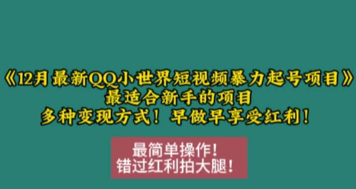 12月最新QQ小世界短视频暴力起号项目，最适合新手的项目，多种变现方式-徐小晨博客