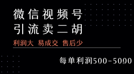 视频号卖二胡教程，利润大 易成交 售后少，一单利润5张+-徐小晨博客
