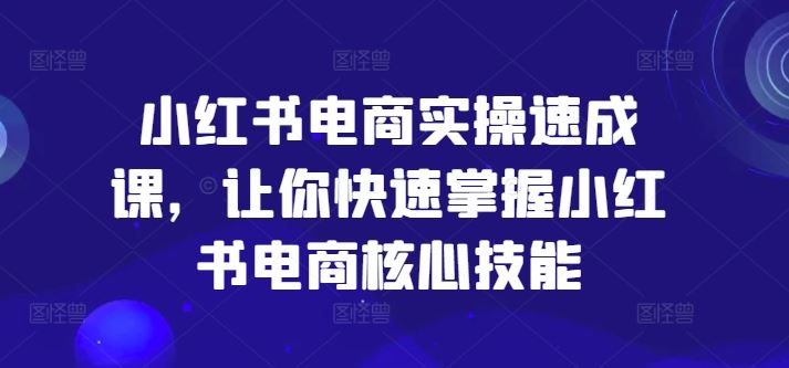 小红书电商实操速成课，让你快速掌握小红书电商核心技能-徐小晨博客