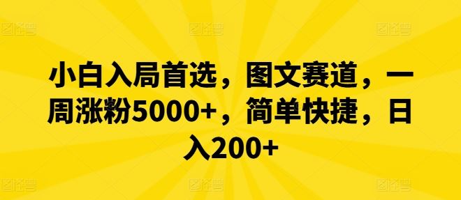 小白入局首选，图文赛道，一周涨粉5000+，简单快捷，日入200+-徐小晨博客