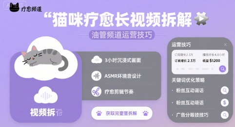猫咪疗愈长视频拆解 &油管频道运营技巧-徐小晨博客