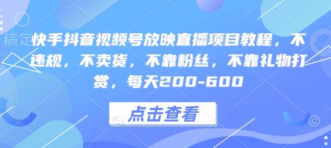 快手抖音视频号放映直播项目教程，不违规，不卖货，不靠粉丝，不靠礼物打赏，每天200-600-徐小晨博客