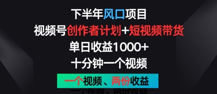 下半年风口项目，视频号创作者计划+视频带货，一个视频两份收益，十分钟一个视频【揭秘】-徐小晨博客