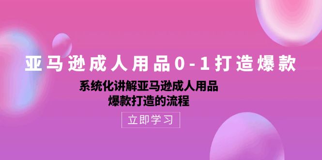 亚马逊成人用品0-1打造爆款：系统化讲解亚马逊成人用品爆款打造的流程-徐小晨博客