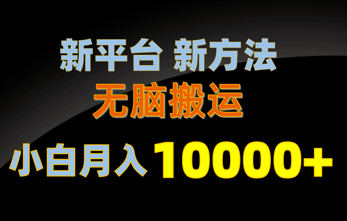 新平台新方法，无脑搬运，月赚10000+，小白轻松上手不动脑-徐小晨博客
