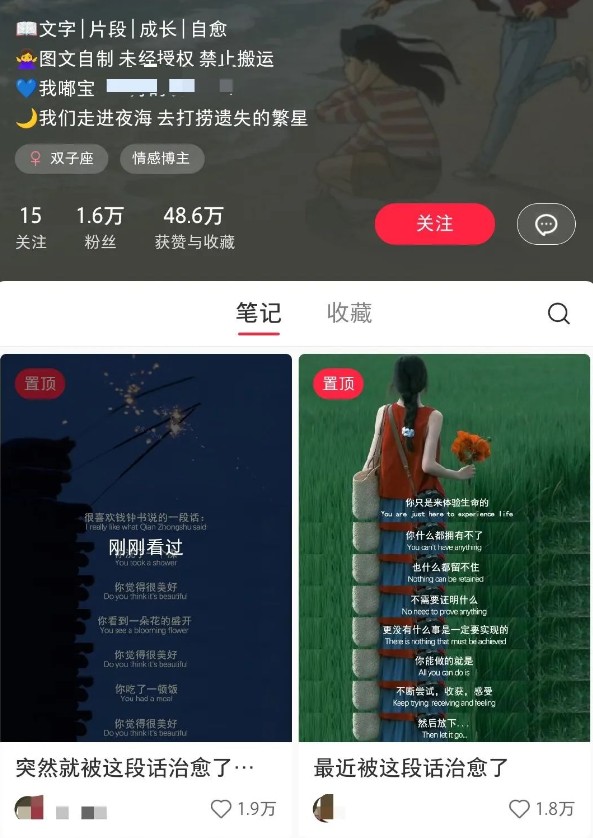 小红书治愈文案图文笔记，零门槛，一分钟制作轻松制作爆款作品月入万元-徐小晨博客
